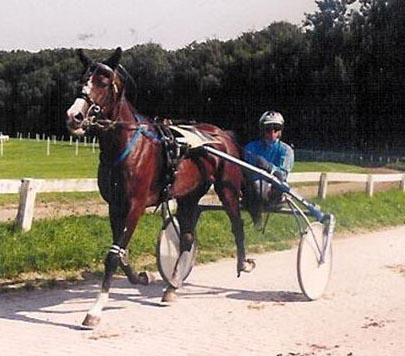 Vasterbo Tomorrow 01.jpg