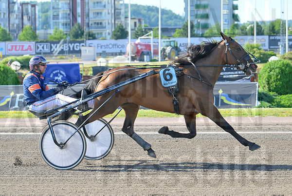 Old Maid Boko heat.t667e915d.m600.w.4salnwmark2.png.xarZ3MZm3.jpg