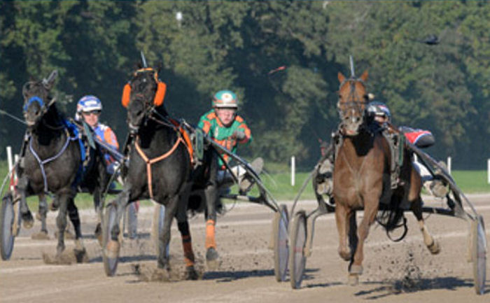 Wyard Beuckenswijk KvN 2010.jpg