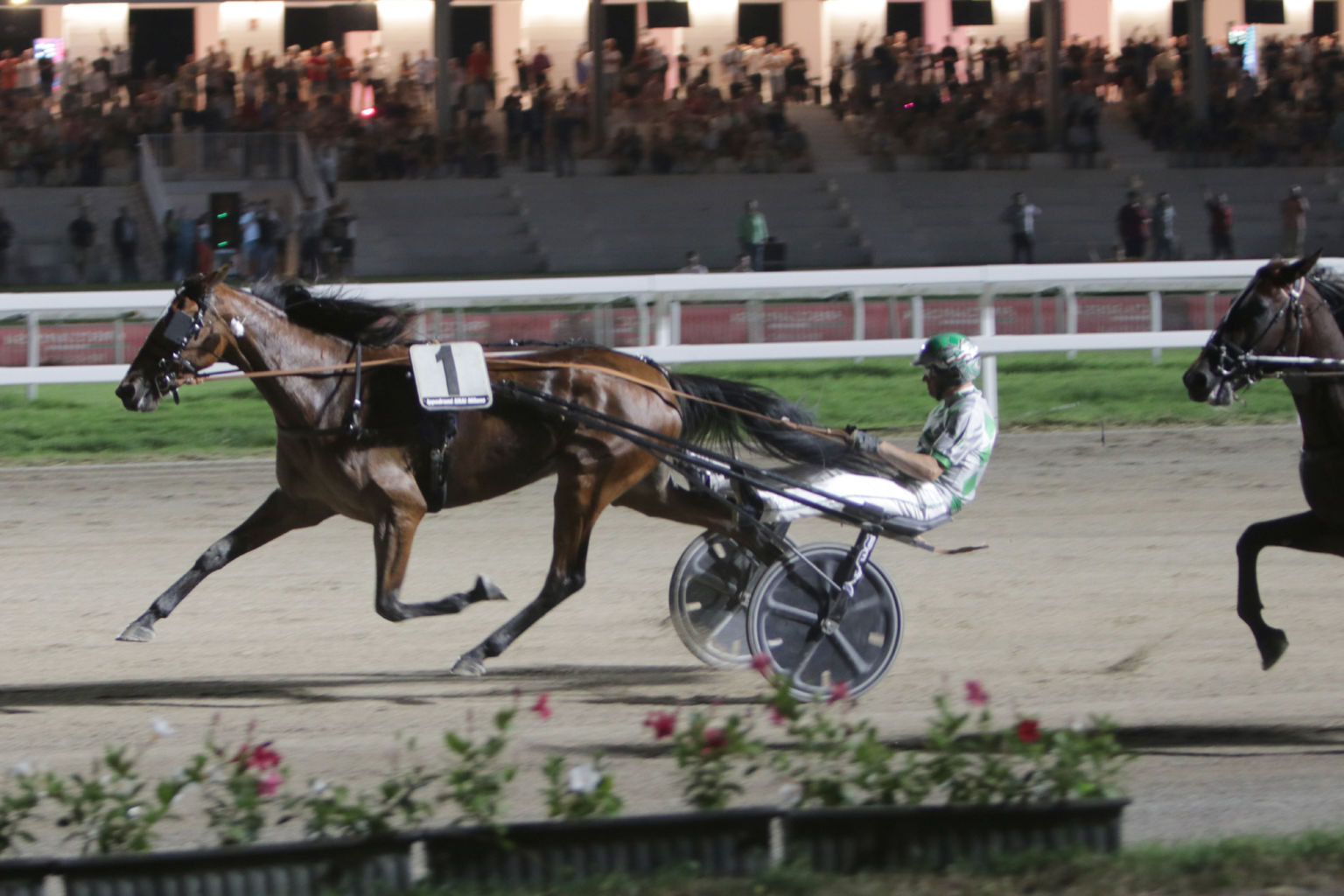 CORSA3_PREMIO-THE-COPENHAGEN-TRAINERS-CLUB-1536x1024.jpg