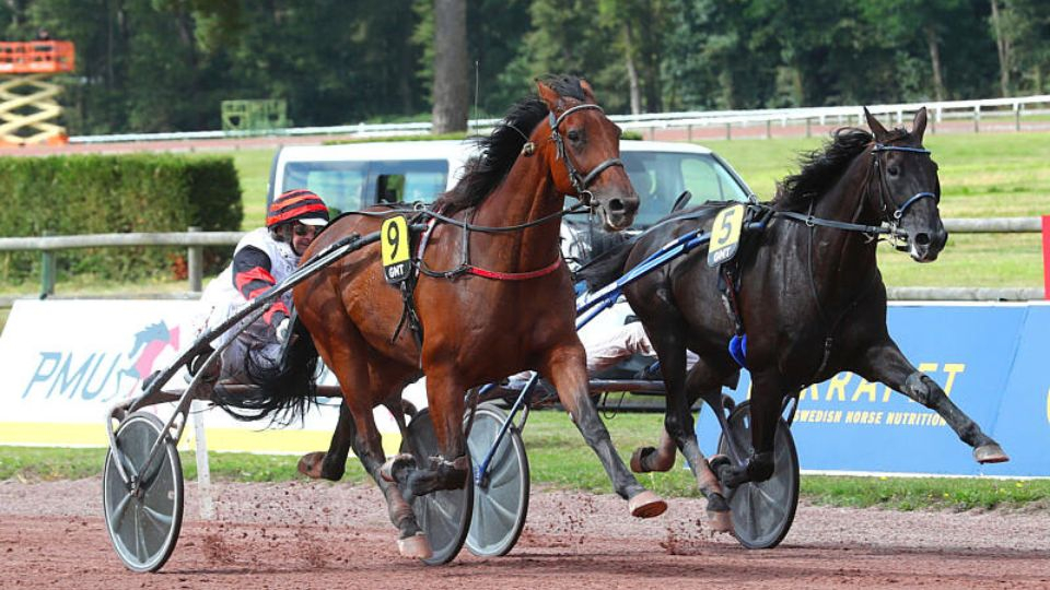 gntlemans110924-aprh-66e1a99b4d73b688676887.jpg