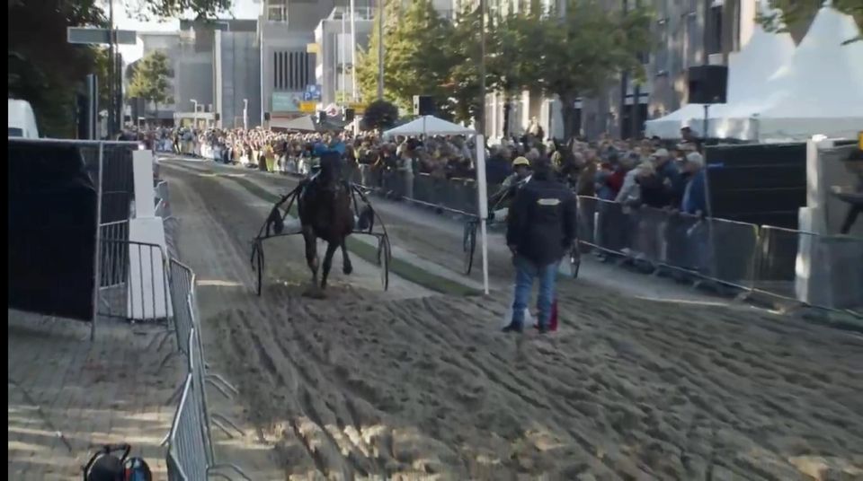 Winnaar Purmerend.jpg