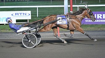 Delaney-Hanover-Lisa-Photo.jpg