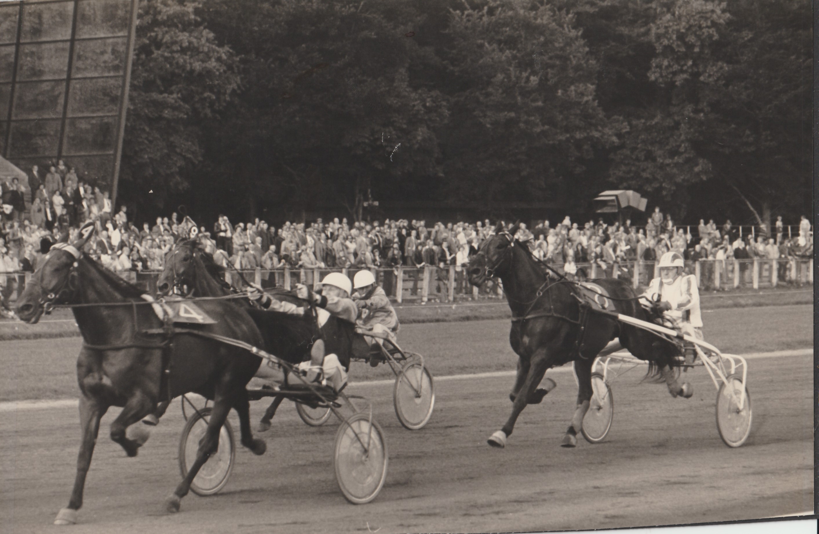 1977-9-18 K.J. Meinardi-prijs (2).jpg