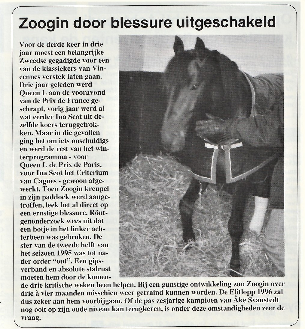 5 Feb Zoogin.jpg