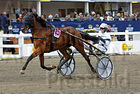 Staro Raili heat.t66efb6cc.m200.w.4salnwmark2.png.x7IWJRki5.jpg