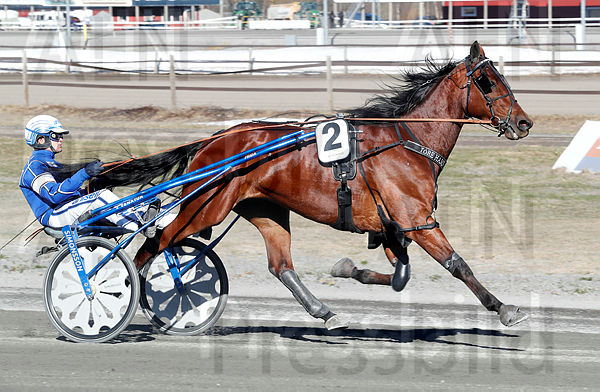 Fantastic Godiva heat 1.t66699d03.m600.w.4salnwmark2.png.xOgQF3QNM.jpg