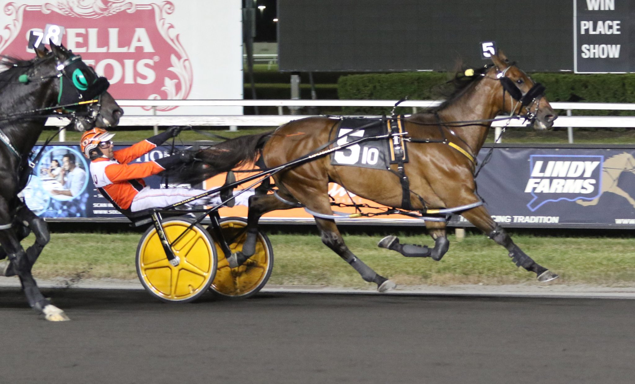 101924r10-Ruthless-Hanover-2048x1241.jpg