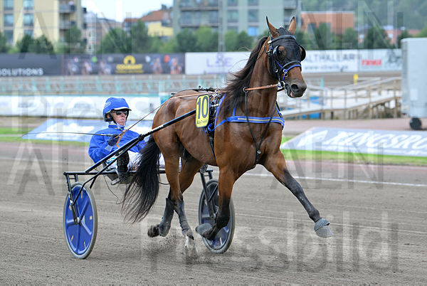 Valnes Phenix heat.t66b9103c.m600.w.4salnwmark2.png.x7W7OaW_-.jpg