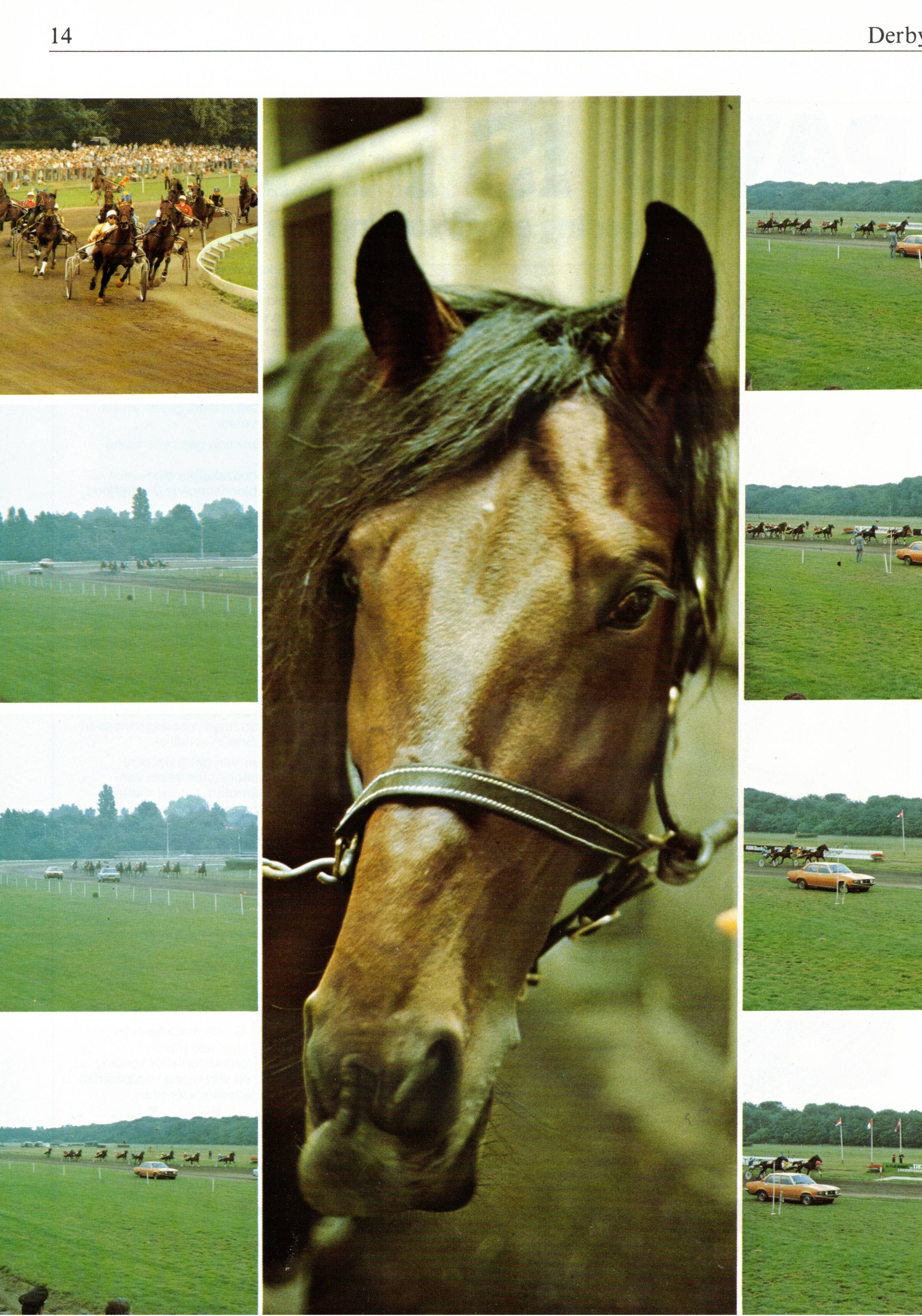 Scan2024-10-27_123752.jpg