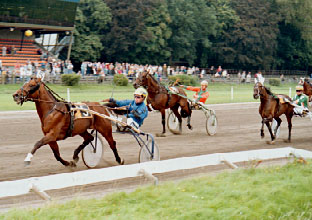 Eibert Sprint5jar.jpg