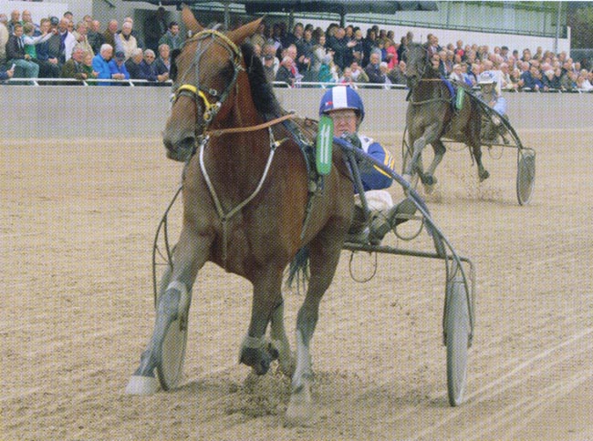 Bibi Barosso 4 Km 2015 a.jpg