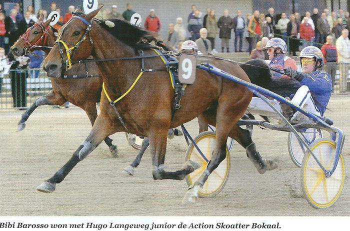 Bibi Barosso ActSkoat Bok 2014.jpg