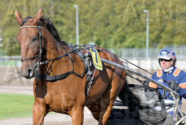 Extra Q.C. def.t66e544be.m600.w.4salnwmark2.png.xLUOb-CAk.jpg