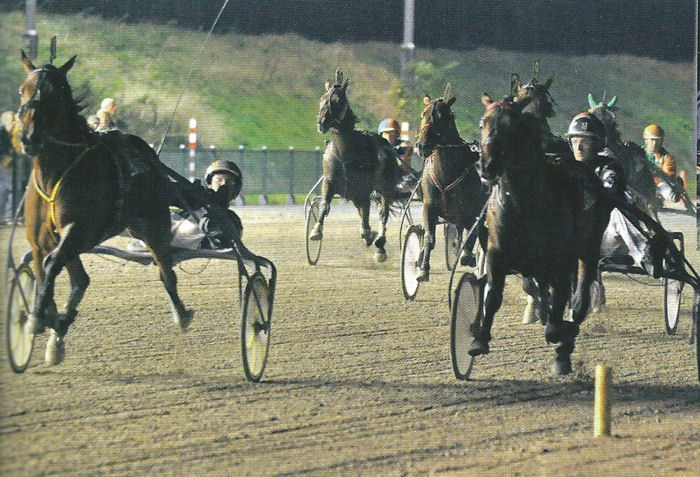 Bibi Barosso Derby 4 jar.jpg