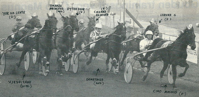 Ciao Magnus GPaard 93 (2).jpg