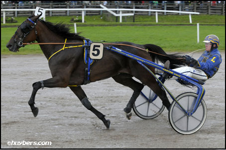 Bibi Barosso Merrie Derby.jpg