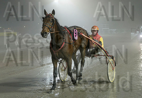 Digital Arrival def.t63bc7c99.m600.w.4salnwmark2.png.xXQXVWNf_.jpg