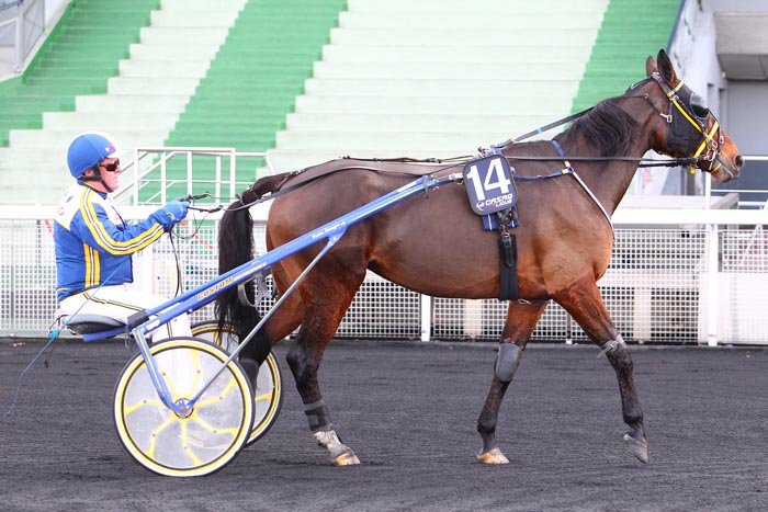 Bibi Barosso Vincennes senior 4e.jpg