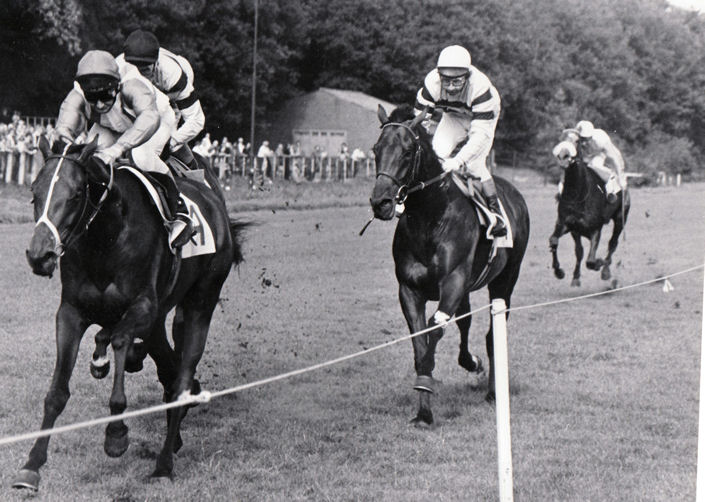Kings Eagle St Leger 78.jpg
