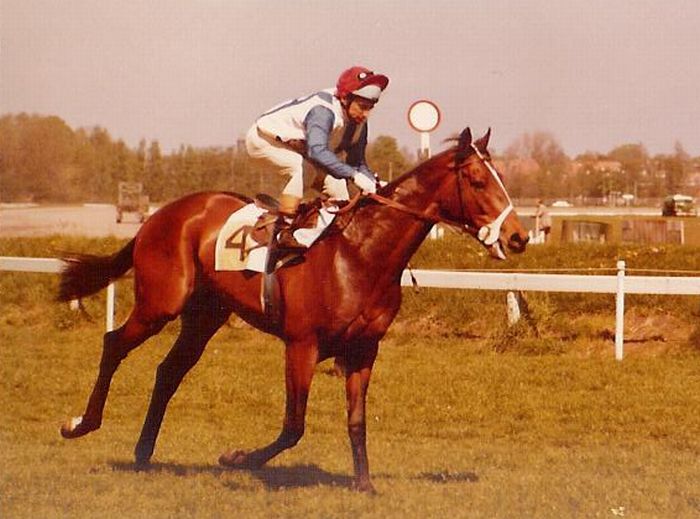 Kings Eagle 01.jpg
