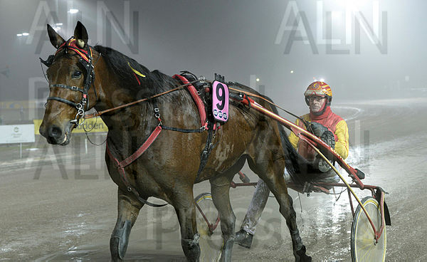 Digital Arrival def1.t63bc7c9a.m600.w.4salnwmark2.png.xyhsZcRDL.jpg