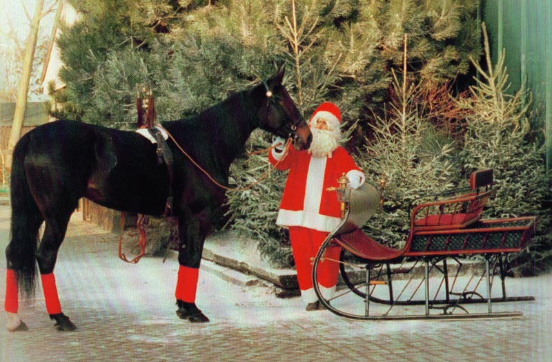 Carisma met Cees Kerst.jpg