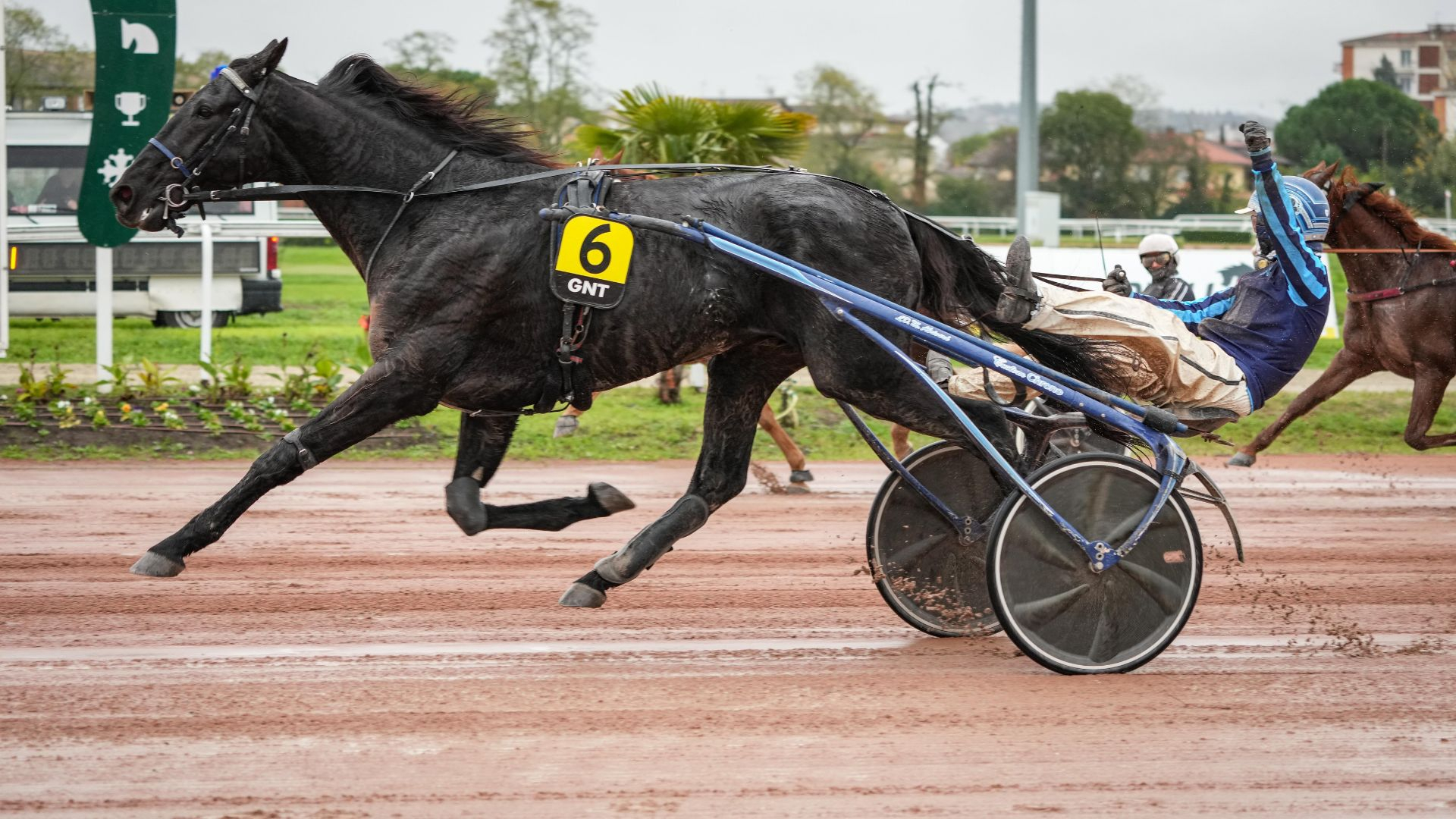 iguski201124-673df997321d9890656711.jpg
