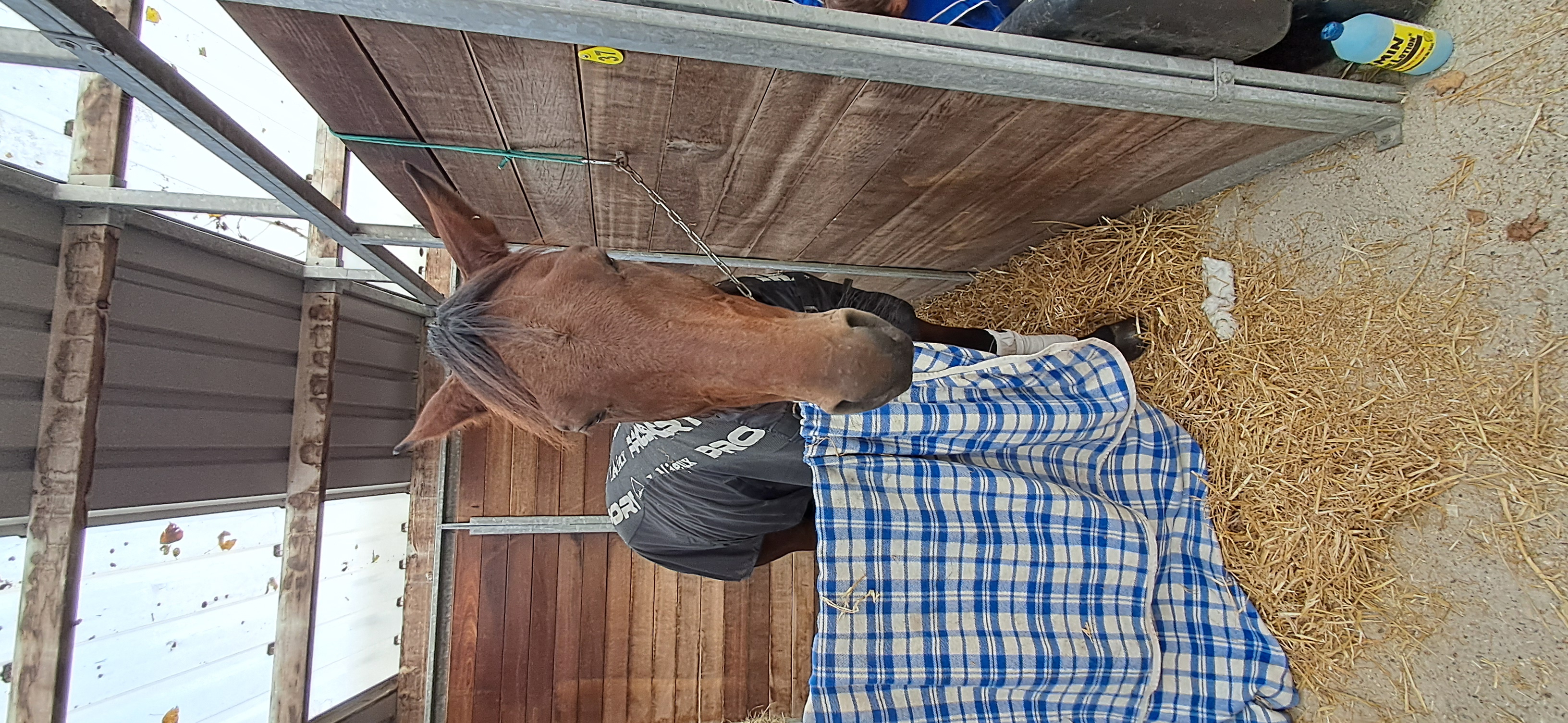 Declic du Gade op Alkmaar