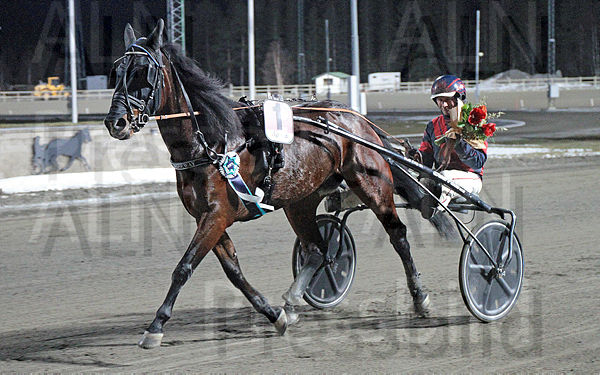 Staro Roseway  def.t6756354a.m600.w.4salnwmark2.png.xv_S2CiHu.jpg