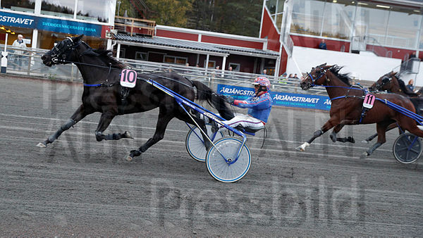 Tasherit mål.t6339d5a4.m600.w.4salnwmark2.png.x6G4k4lAR.jpg