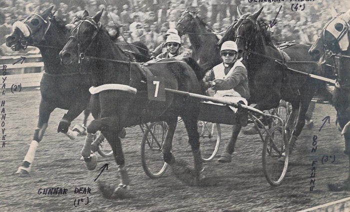 Gunnar Dear Schreurs Mem 71.jpg