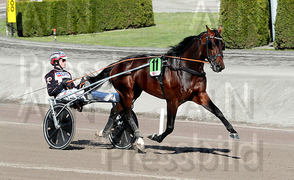 Patrick Palema heat 1.t64d8e400.m600.w.4salnwmark2.png.xJMe_fWfA.jpg