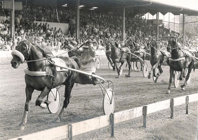 Remi Star Kermis-prijs 83.jpg