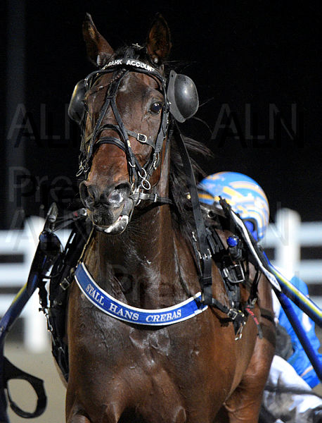 The Bank Account huvud.t67433a5d.m600.w.4salnwmark2.png.xvsYwibGi.jpg