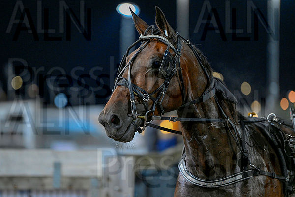 La Crosta head.t66fed18d.m600.w.4salnwmark2.png.xD6CHe-bx.jpg