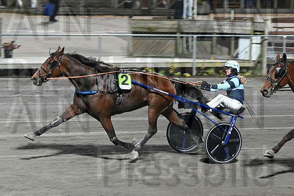 Steady Victory mål DSC_3561.t671a6858.m600.w.4salnwmark2.png.xYuihfdeY.jpg