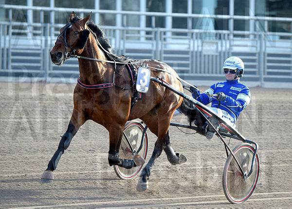 Le Roi Mearas heat.t66326e8c.m600.w.4salnwmark2.png.xDKJ4Aae6.jpg
