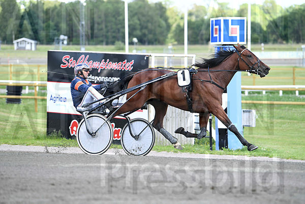 Nicole Schermer mål 75 (4).t667aa779.m600.w.4salnwmark2.png.xC3_Hy6Yv.jpg