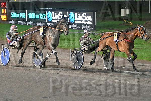 Lotte Greenwood mål DSC_921.t661d2af7.m600.w.4salnwmark2.png.xU-eQwnQt (1).jpg