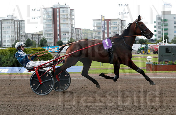 Lobella heat 1.t66cae4f7.m600.w.4salnwmark2.png.xHOB_hzK9.jpg