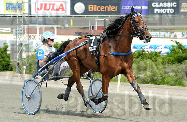 Ziva heat.t62bed41a.m600.w.4salnwmark2.png.xspjq3W81 (1).jpg