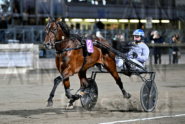 Esteban Bar mål.t67b0cccb.m600.w.4salnwmark2.png.xf92fupv-.jpg