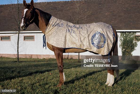 gettyimages-163147613-594x594.jpg