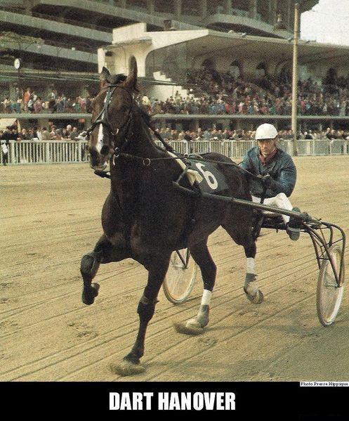 Dart-Hanover-numerisation0019.jpg