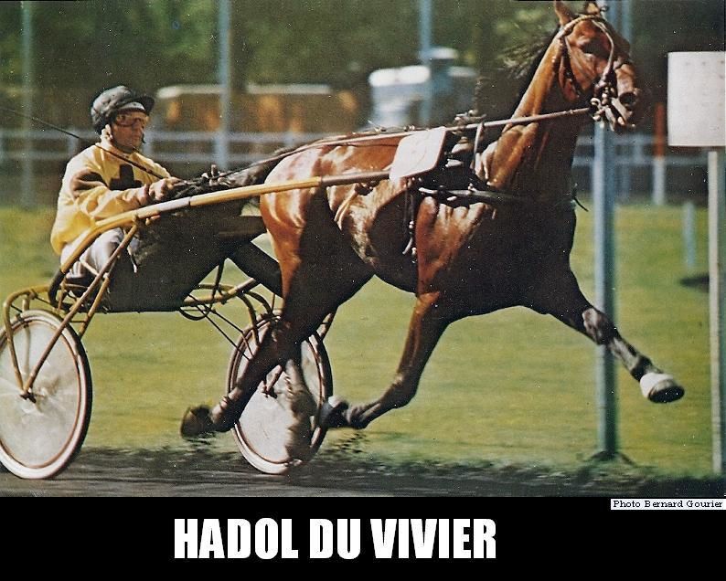 ob_f2c12b_hadol-du-vivier-0003.jpg