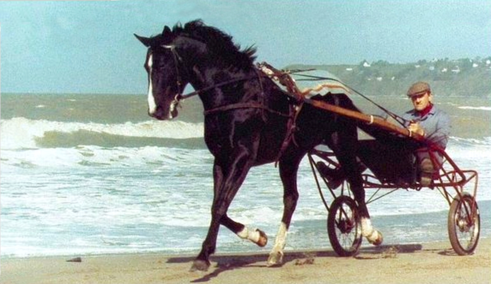 Ideal_du_Gazeau_Equidia_LNC.jpg
