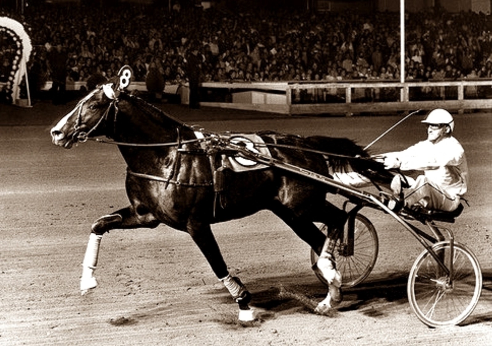 Ideal_du_Gazeau_driver_LNC.jpg