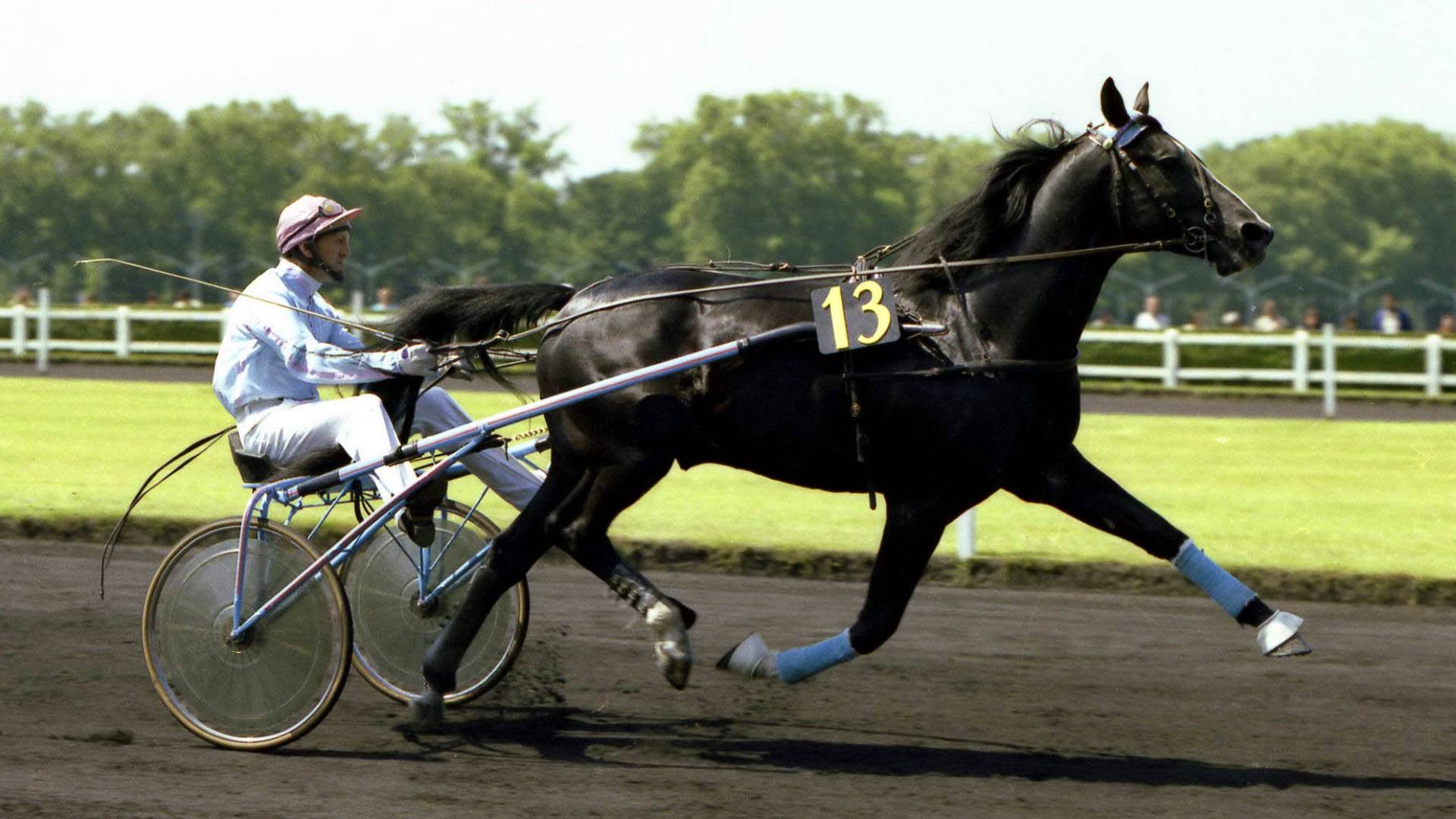 idaldugazeau-16-9-670f8c8a26037255817944.jpg