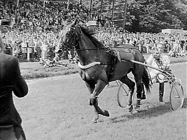 GPdLL71 Une de Mai c.jpg